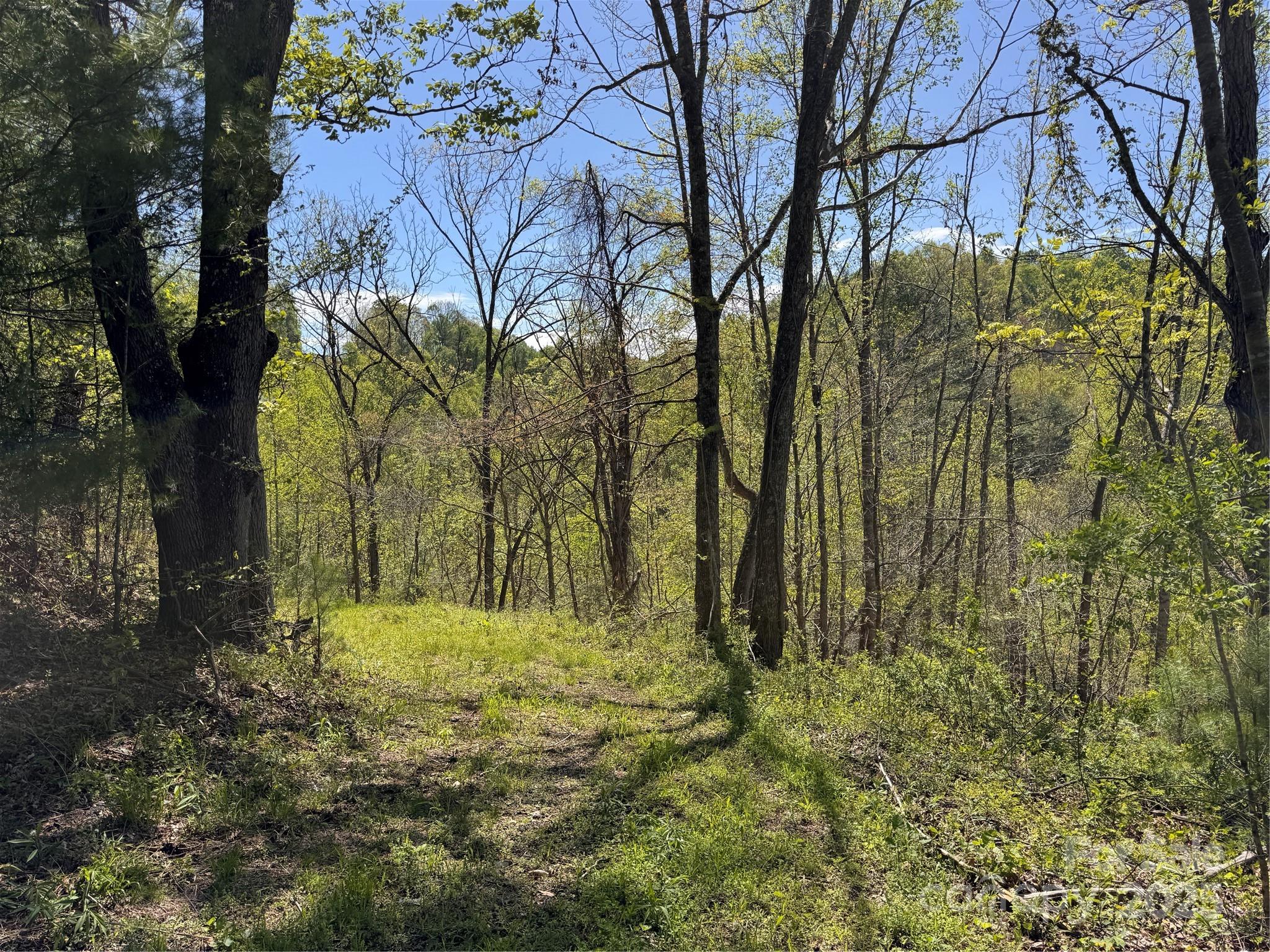 000 Relief Extension Green Mountain NC 28740