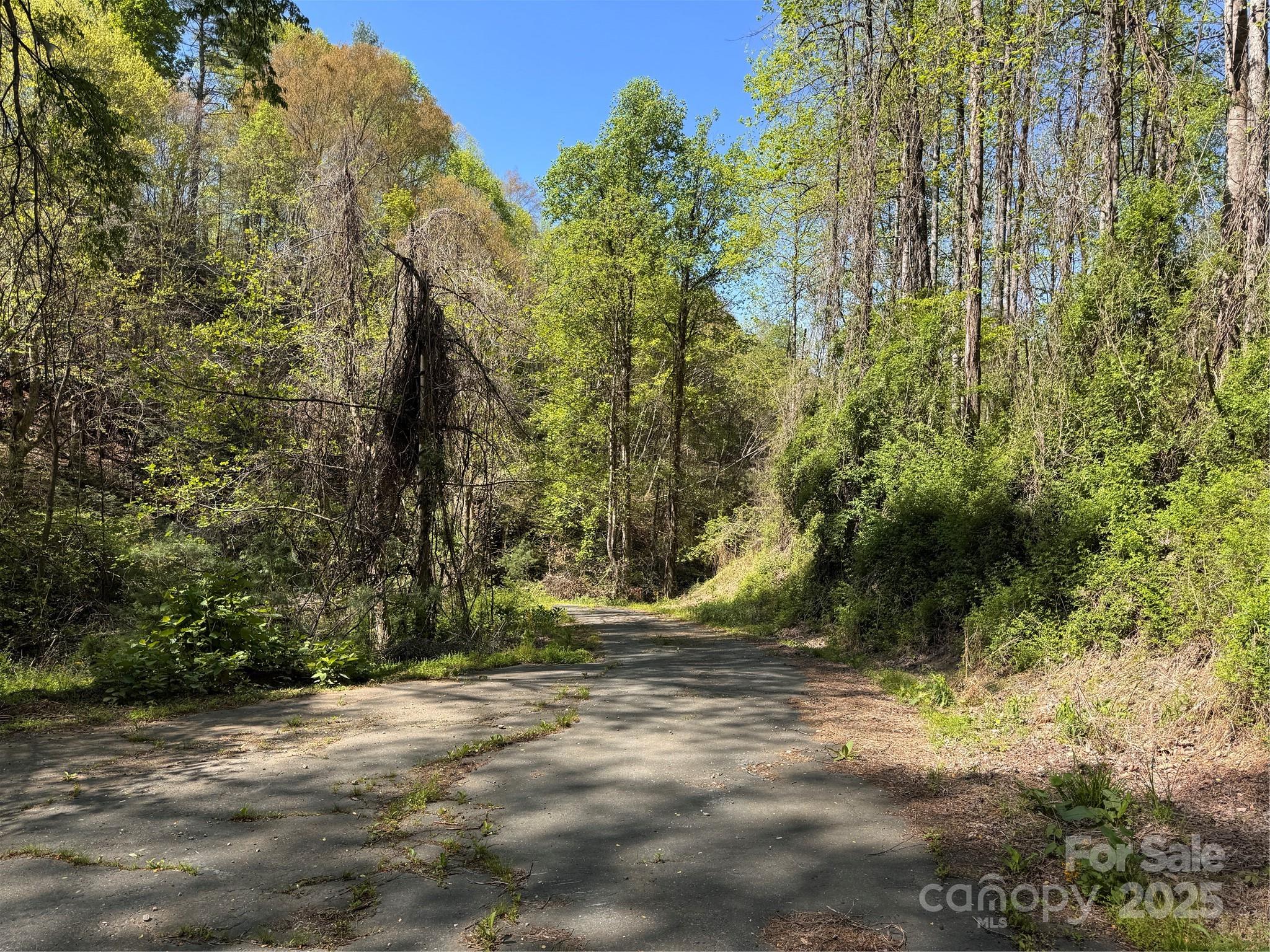 000 Relief Extension Green Mountain NC 28740