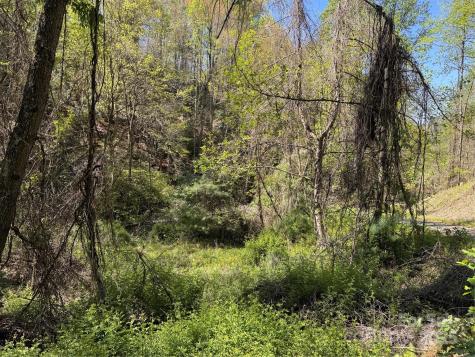 000 Relief Extension Green Mountain NC 28740