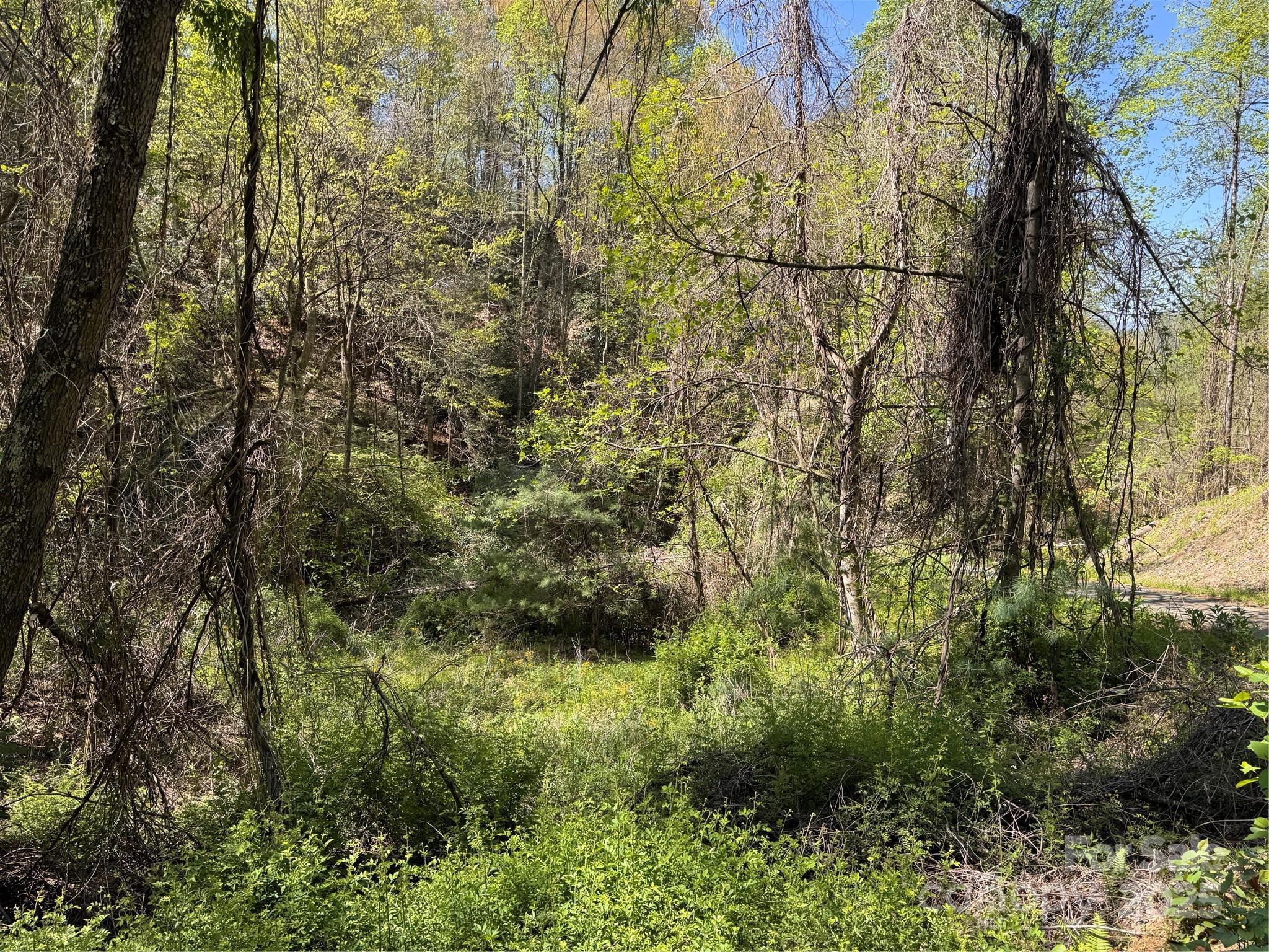000 Relief Extension Green Mountain NC 28740