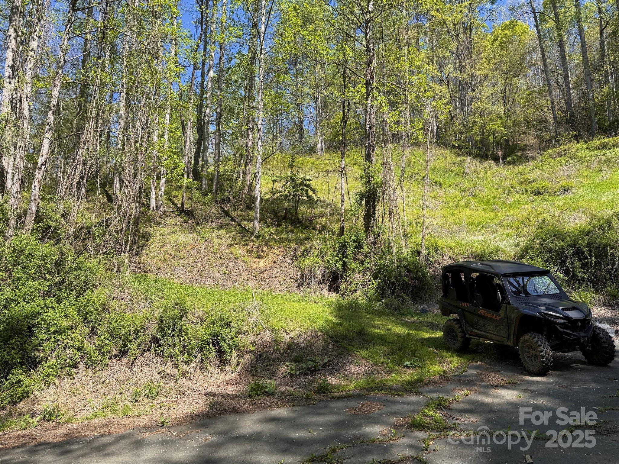 000 Relief Extension Green Mountain NC 28740