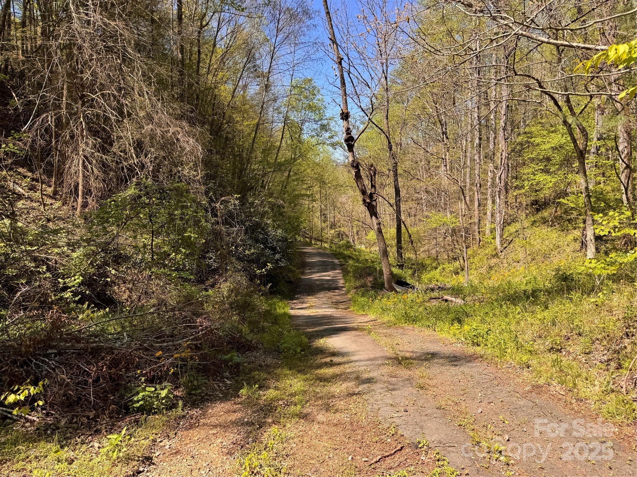 000 Relief Extension Green Mountain NC 28740