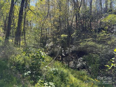 000 Relief Extension Green Mountain NC 28740