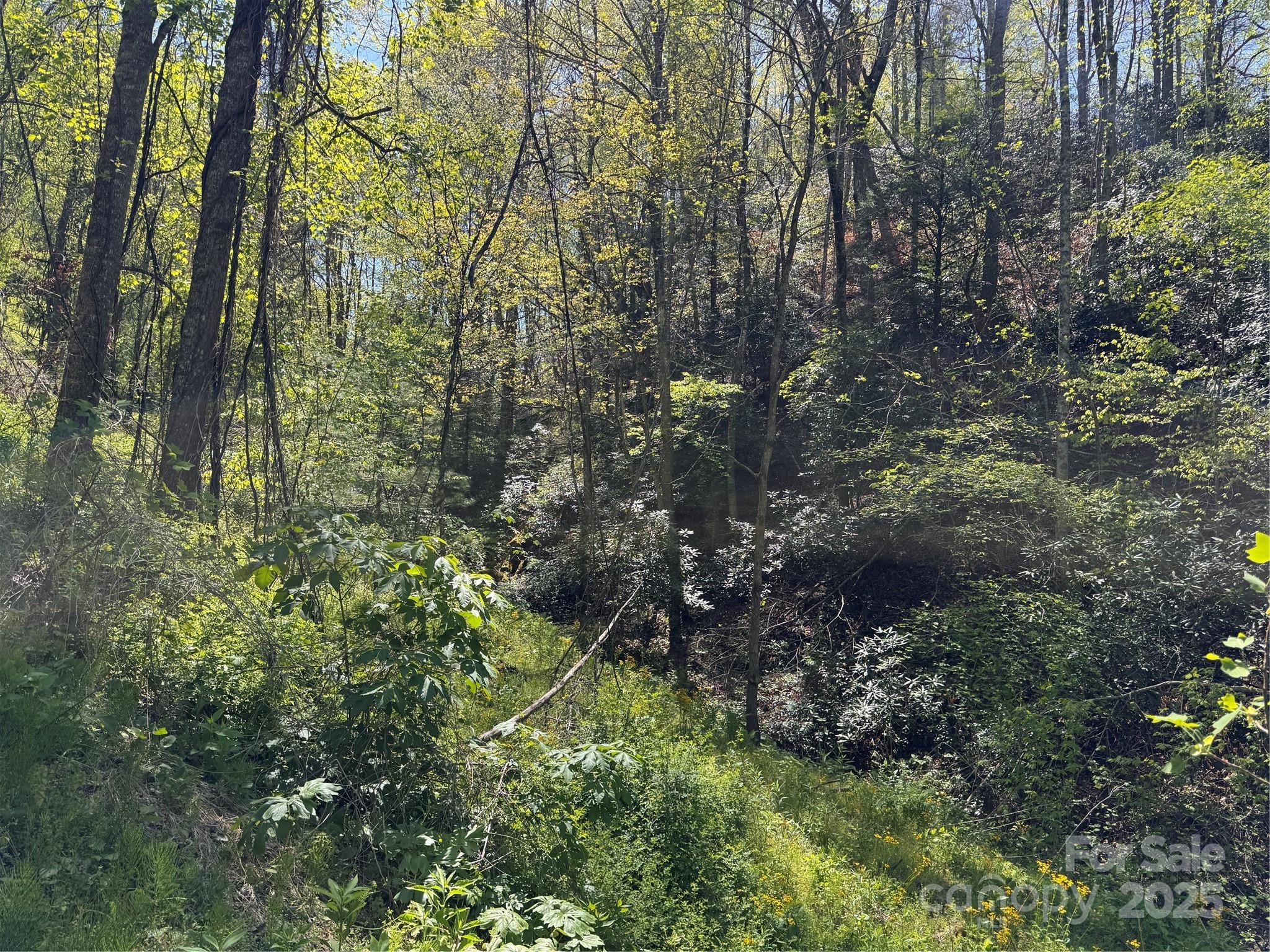 000 Relief Extension Green Mountain NC 28740