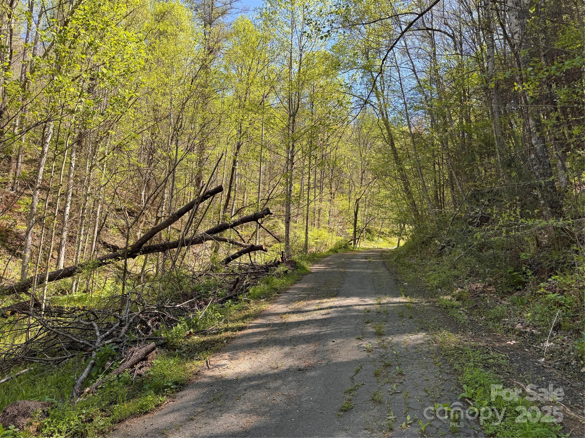 000 Relief Extension Green Mountain NC 28740
