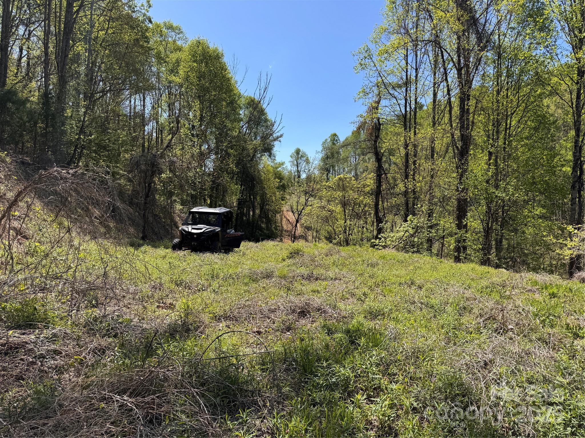 000 Relief Extension Green Mountain NC 28740