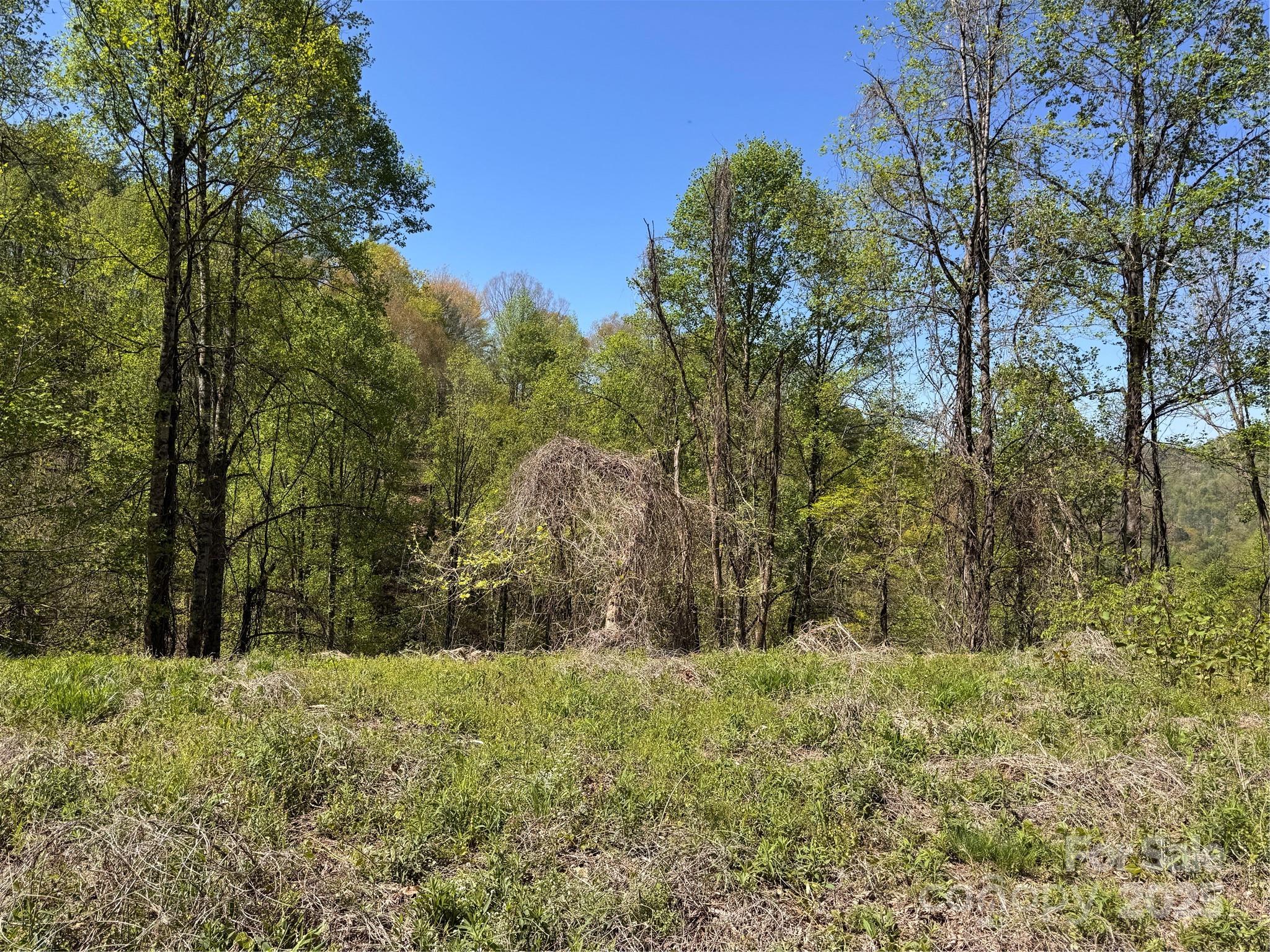 000 Relief Extension Green Mountain NC 28740