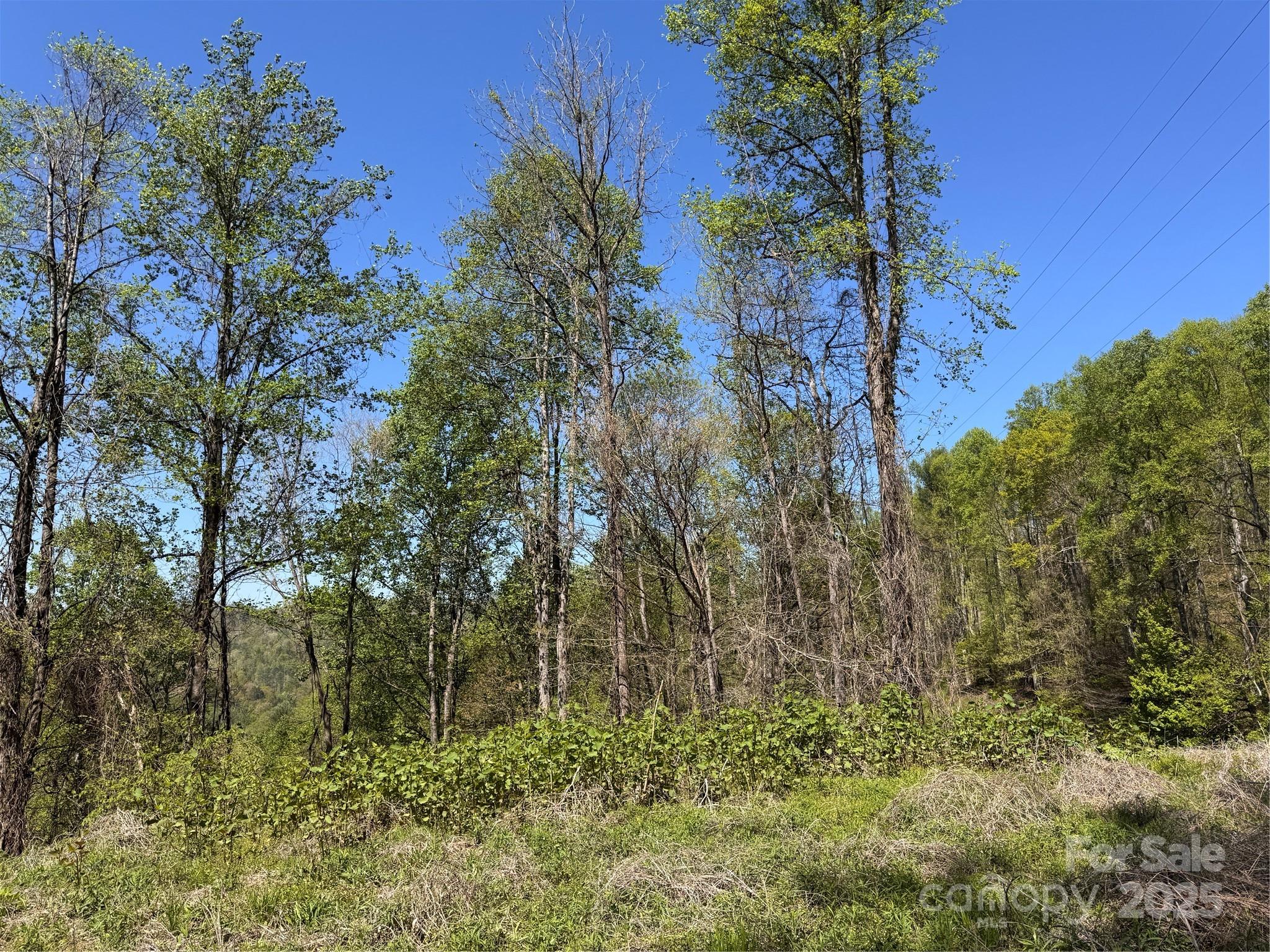 000 Relief Extension Green Mountain NC 28740