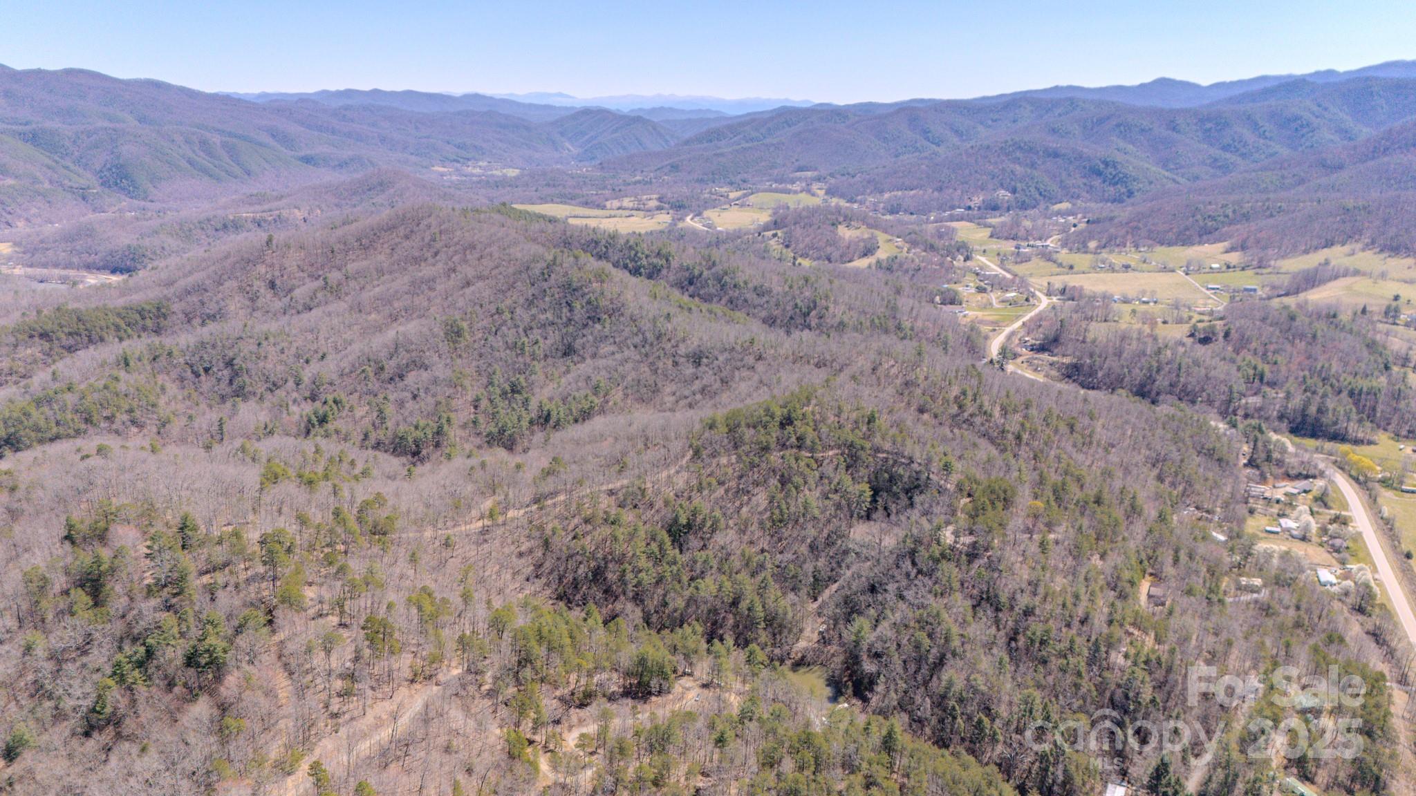 Tbd Plum Tree Holler Drive Hot Springs NC 28743