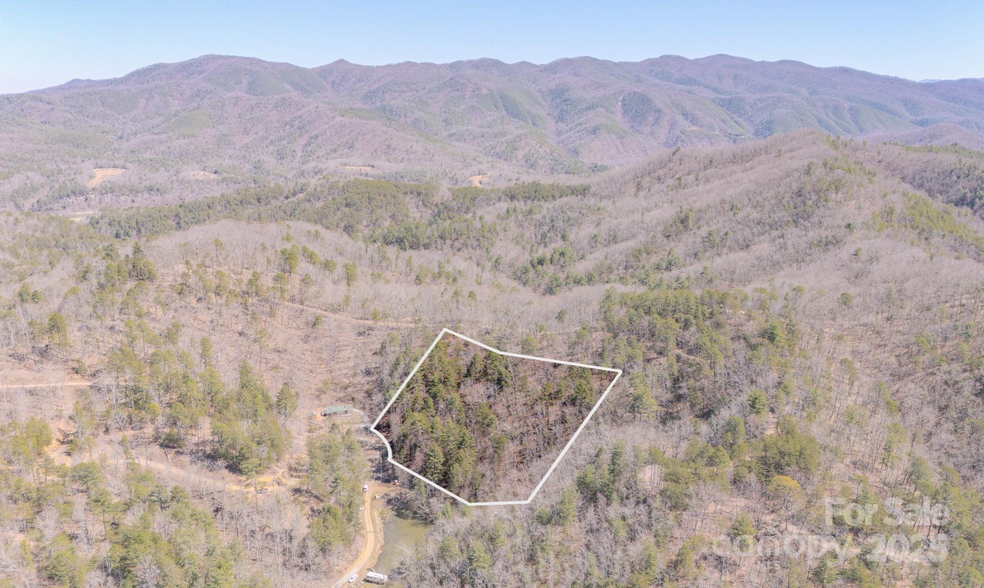 Tbd Plum Tree Holler Drive Hot Springs NC 28743