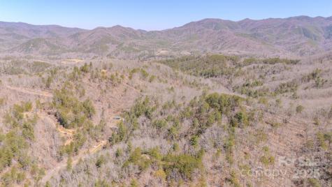 Tbd Plum Tree Holler Drive Hot Springs NC 28743