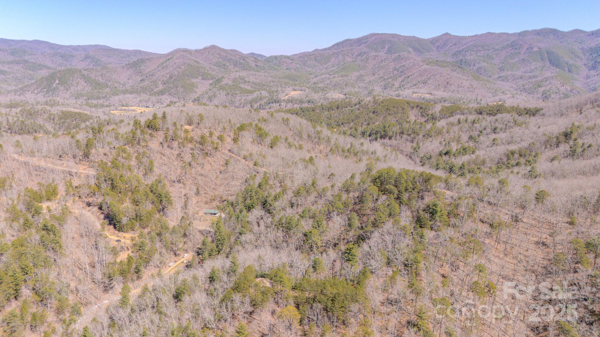 Tbd Plum Tree Holler Drive Hot Springs NC 28743
