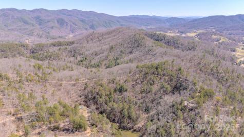 Tbd Plum Tree Holler Drive Hot Springs NC 28743
