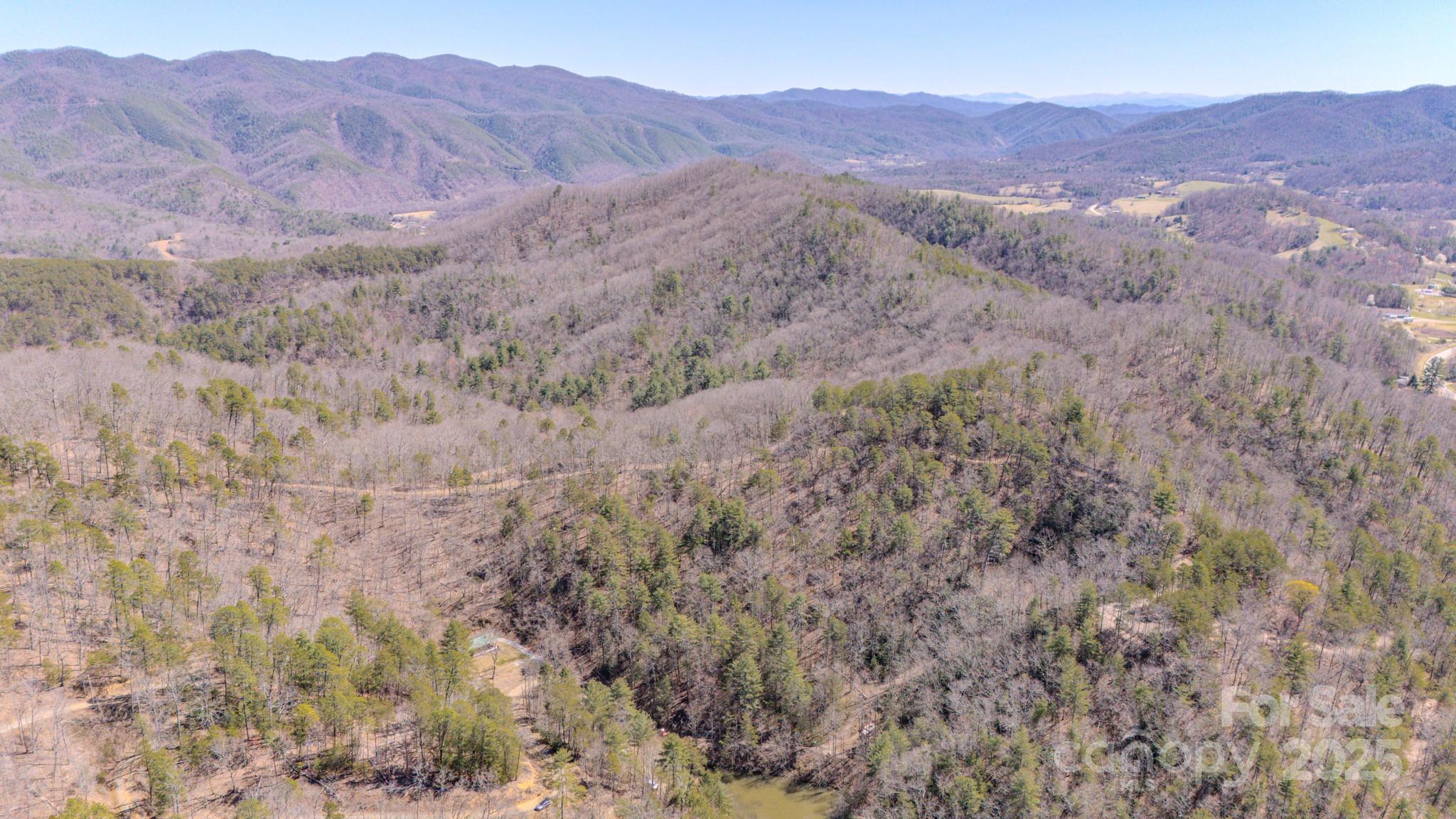 Tbd Plum Tree Holler Drive Hot Springs NC 28743