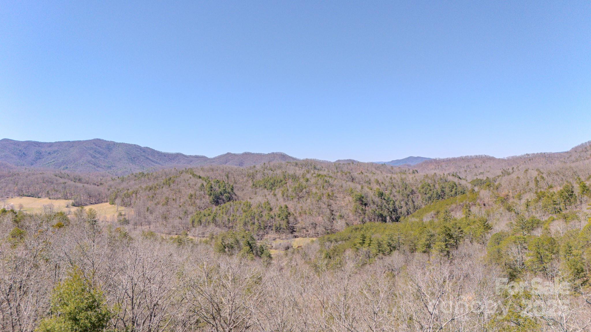 Tbd Plum Tree Holler Drive Hot Springs NC 28743
