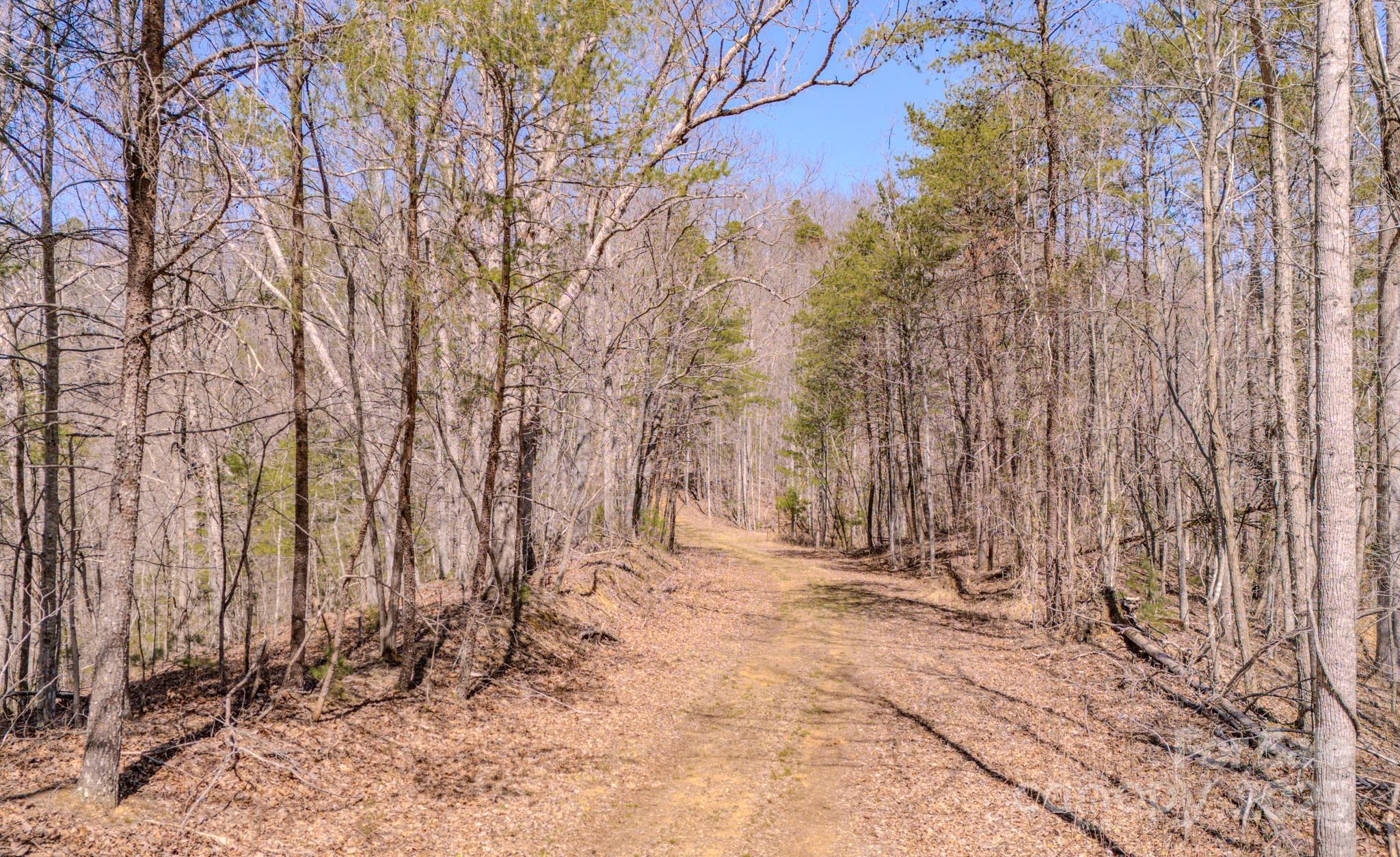 Tbd Plum Tree Holler Drive Hot Springs NC 28743