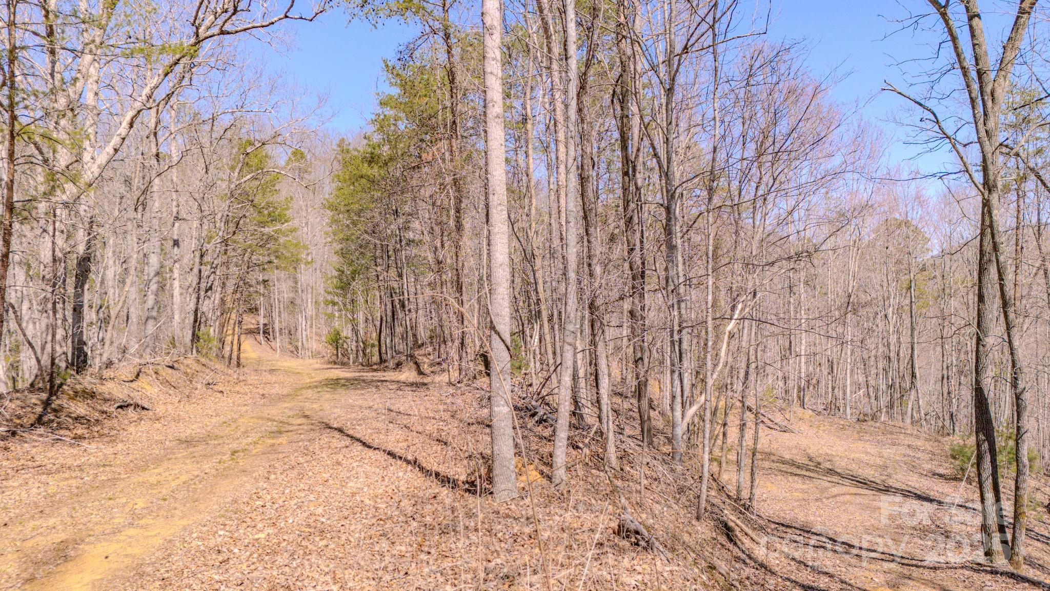 Tbd Plum Tree Holler Drive Hot Springs NC 28743