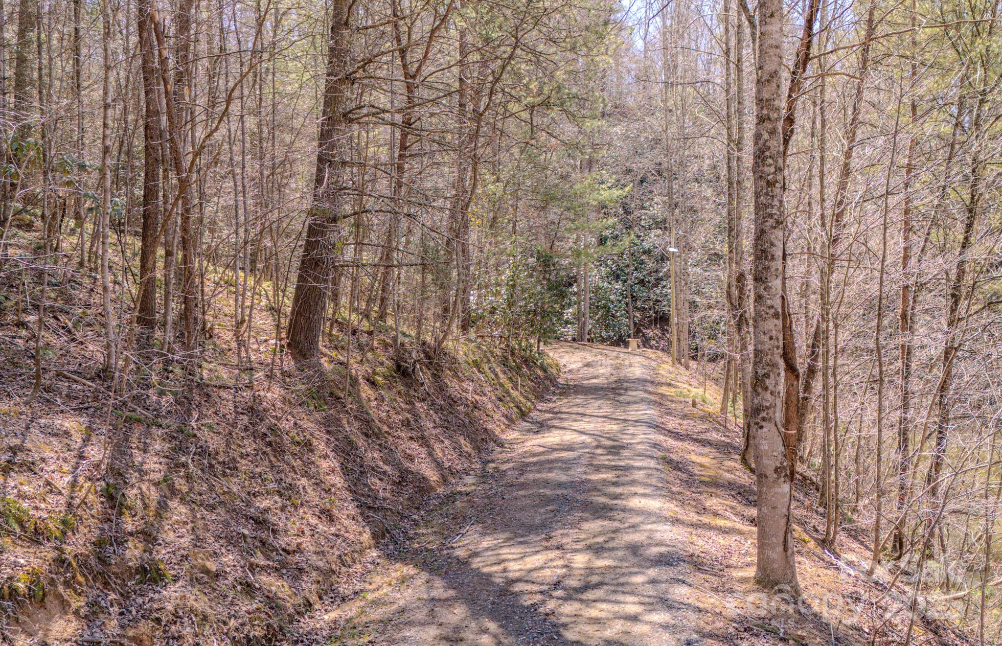 Tbd Plum Tree Holler Drive Hot Springs NC 28743