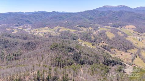 Tbd Plum Tree Holler Drive Hot Springs NC 28743