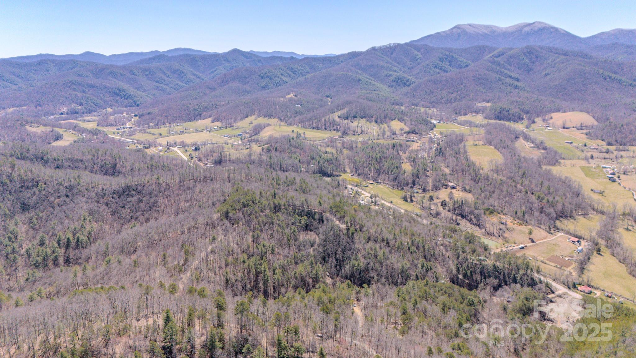 Tbd Plum Tree Holler Drive Hot Springs NC 28743