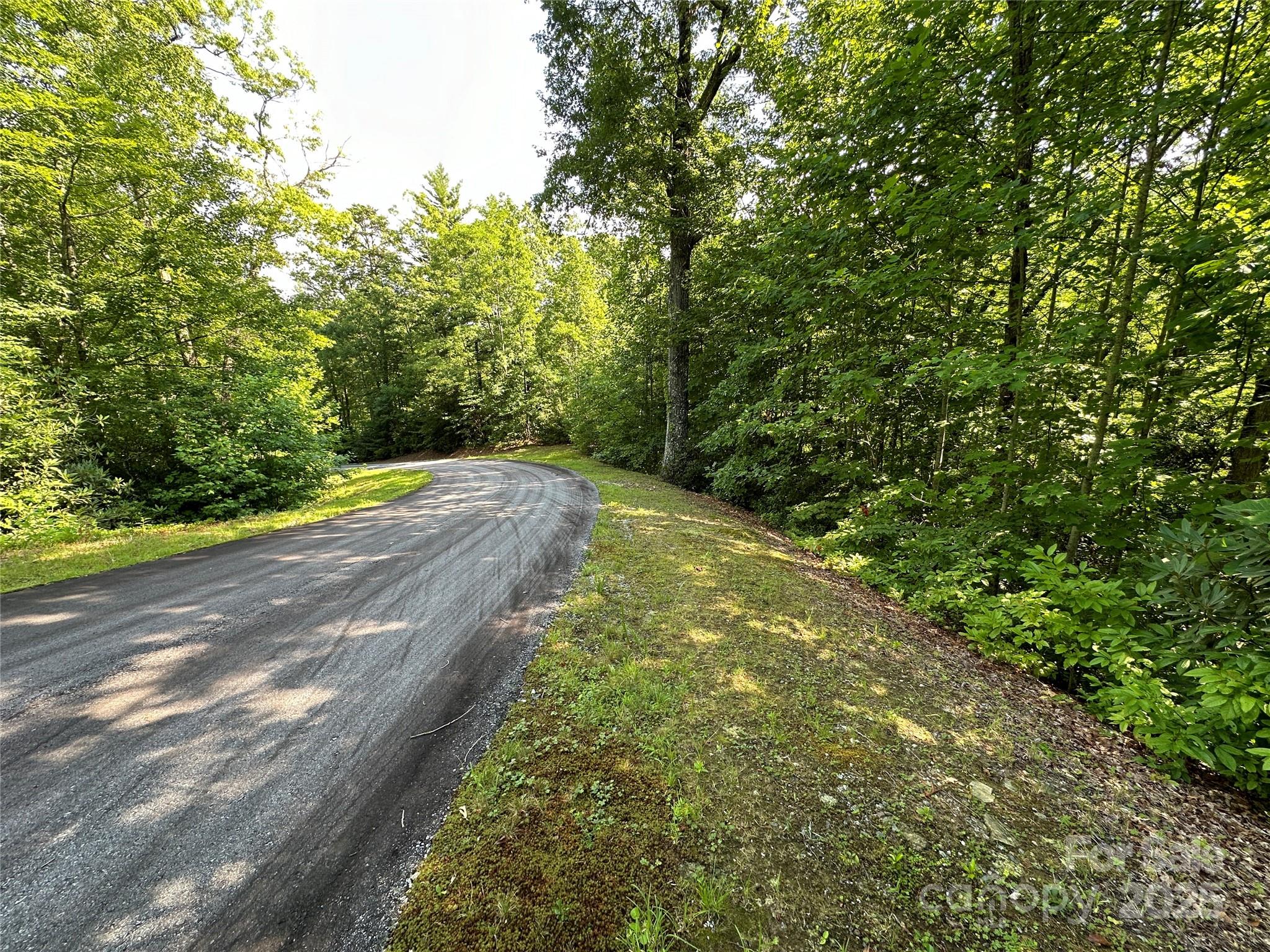 67 Peppervine Circle Rosman NC 28772