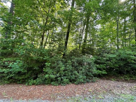 67 Peppervine Circle Rosman NC 28772