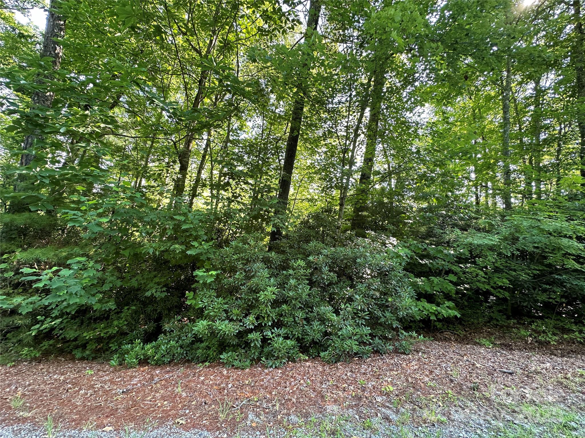 67 Peppervine Circle Rosman NC 28772