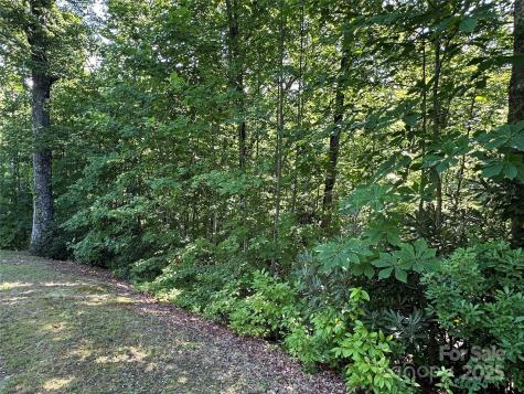 67 Peppervine Circle Rosman NC 28772