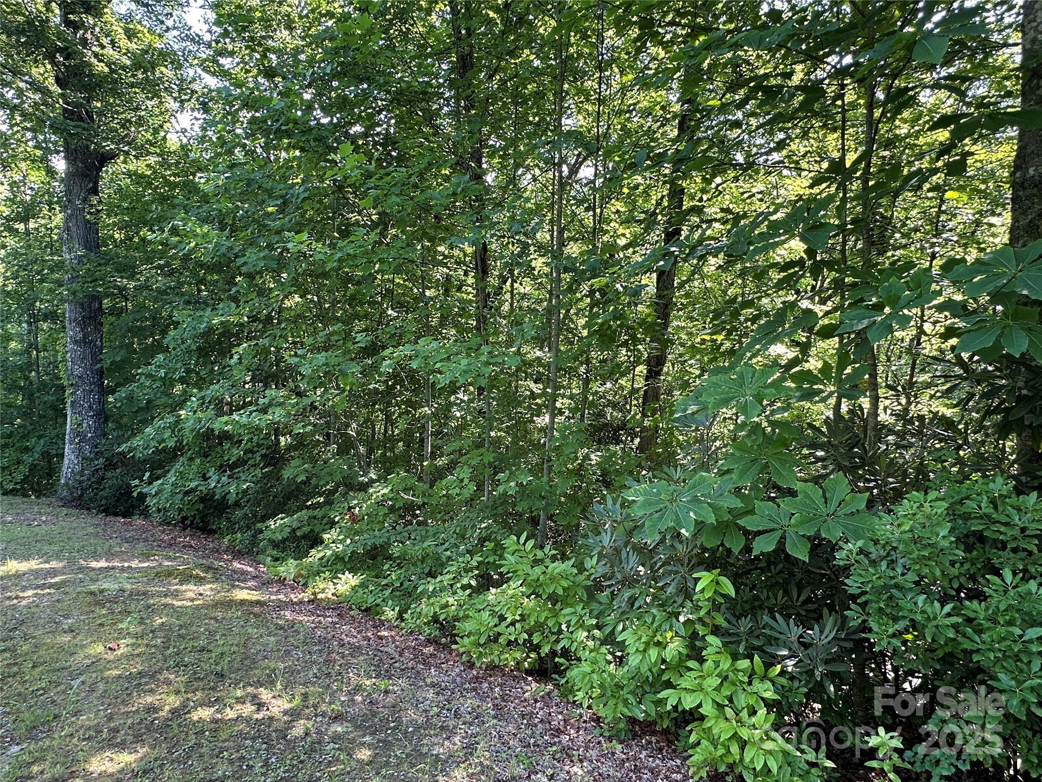 67 Peppervine Circle Rosman NC 28772