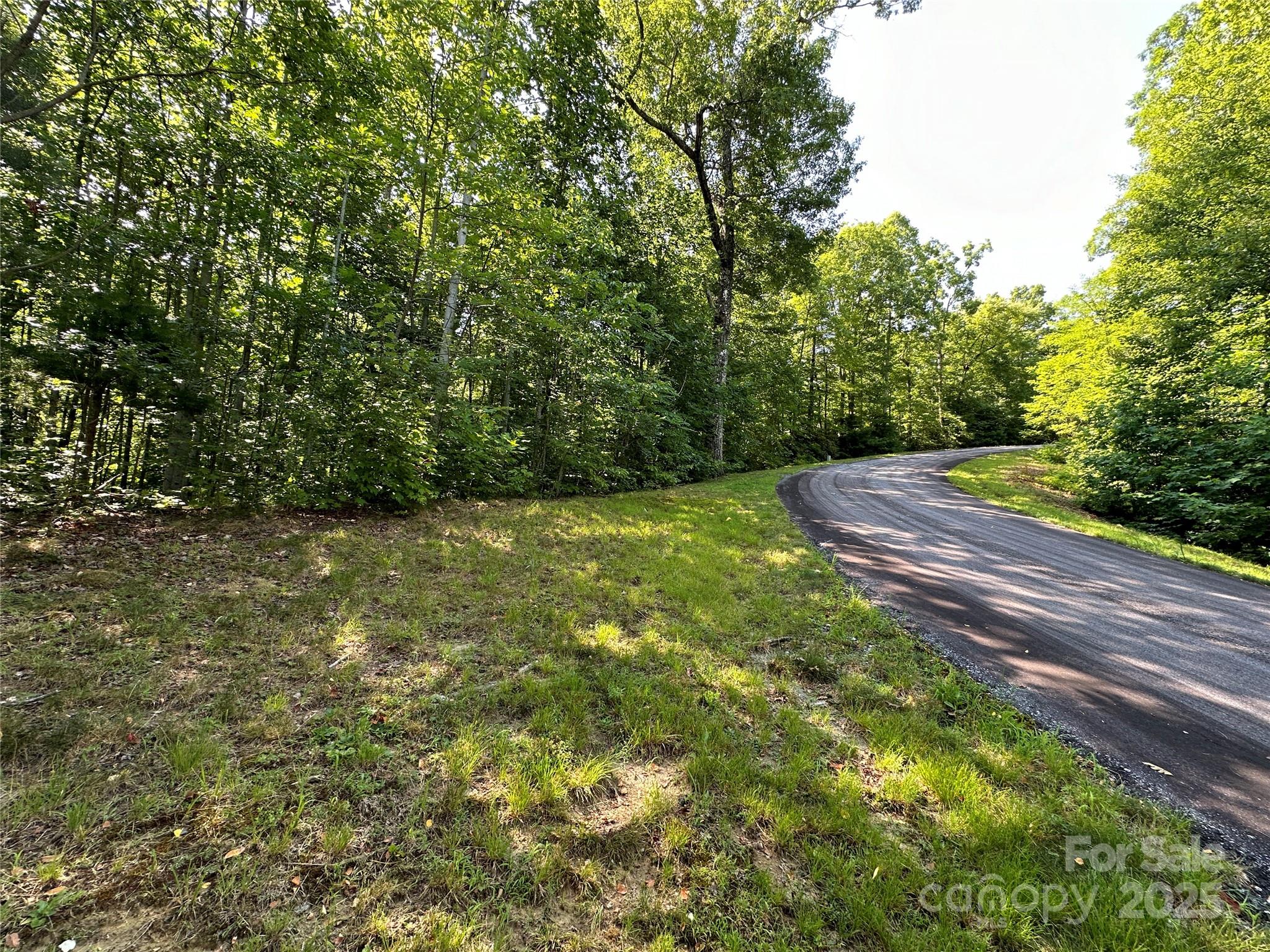 67 Peppervine Circle Rosman NC 28772