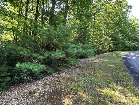 67 Peppervine Circle Rosman NC 28772