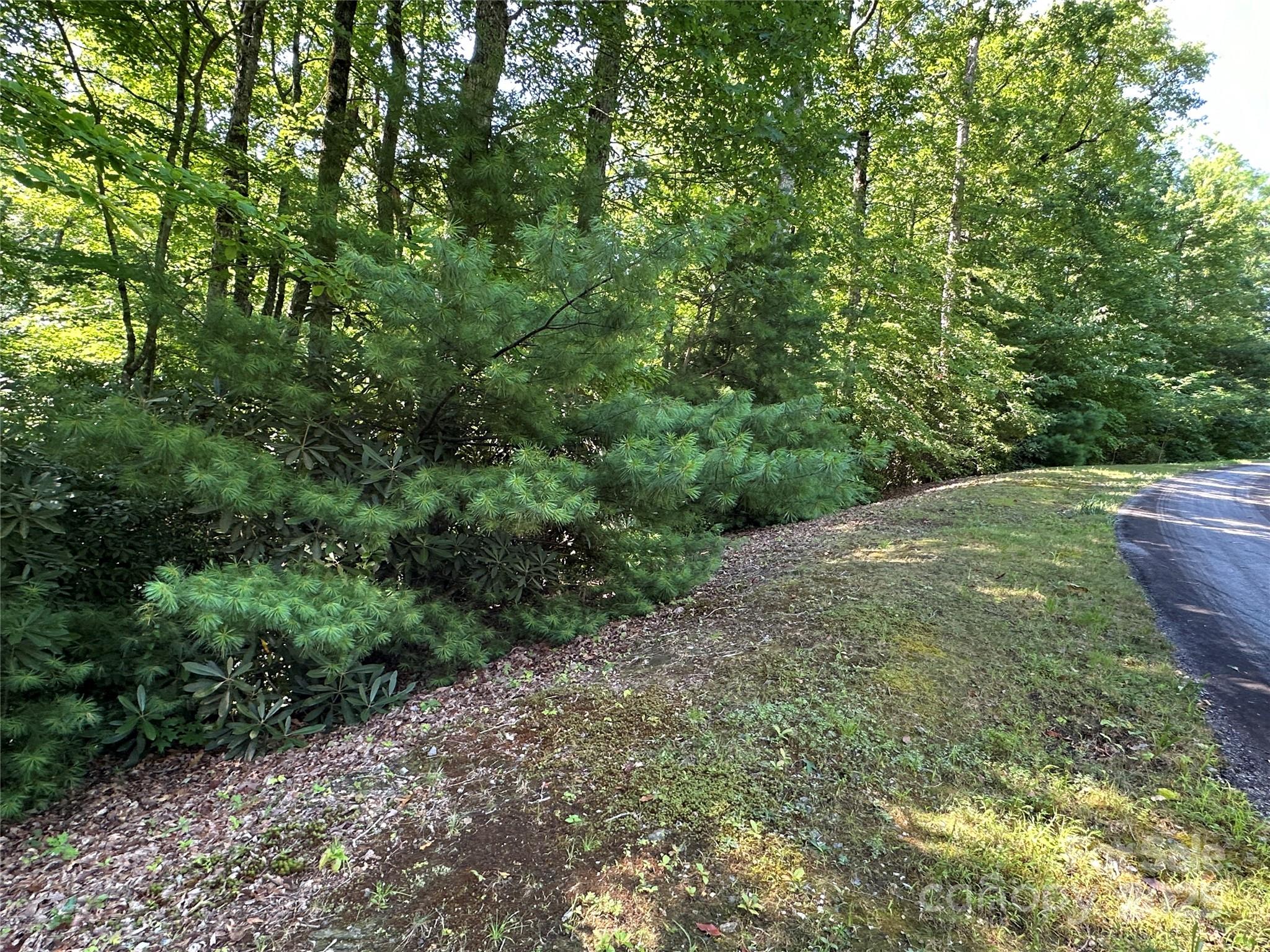 67 Peppervine Circle Rosman NC 28772