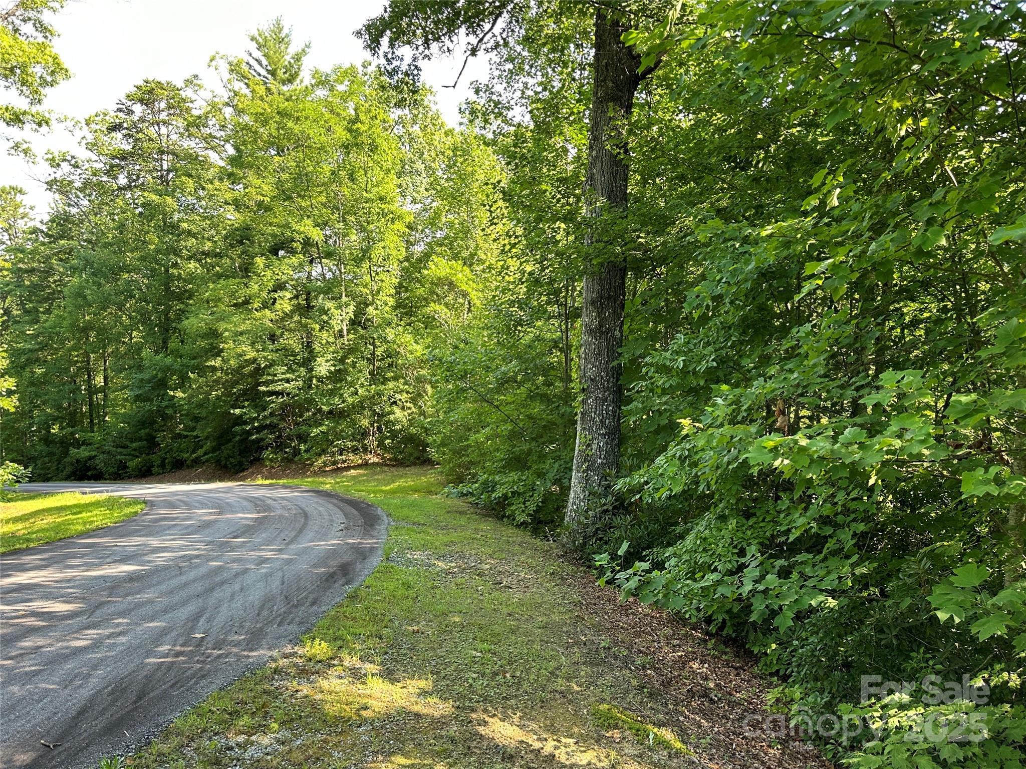 67 Peppervine Circle Rosman NC 28772
