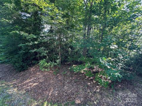 67 Peppervine Circle Rosman NC 28772