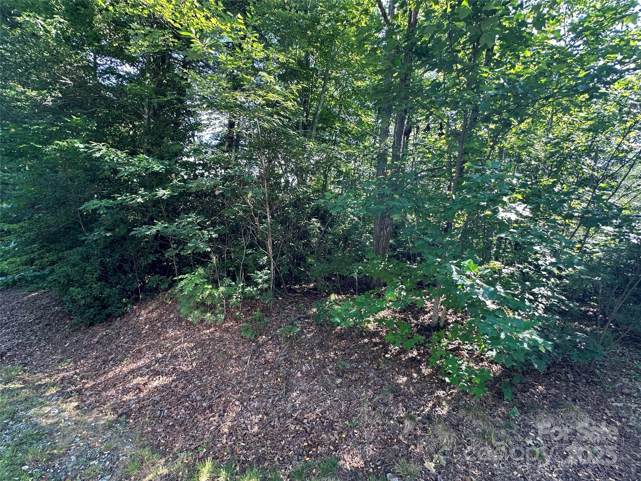 67 Peppervine Circle Rosman NC 28772