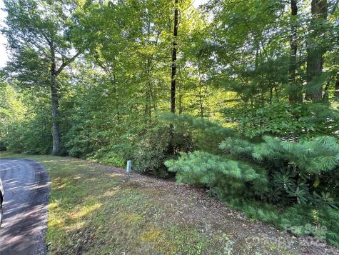 67 Peppervine Circle Rosman NC 28772