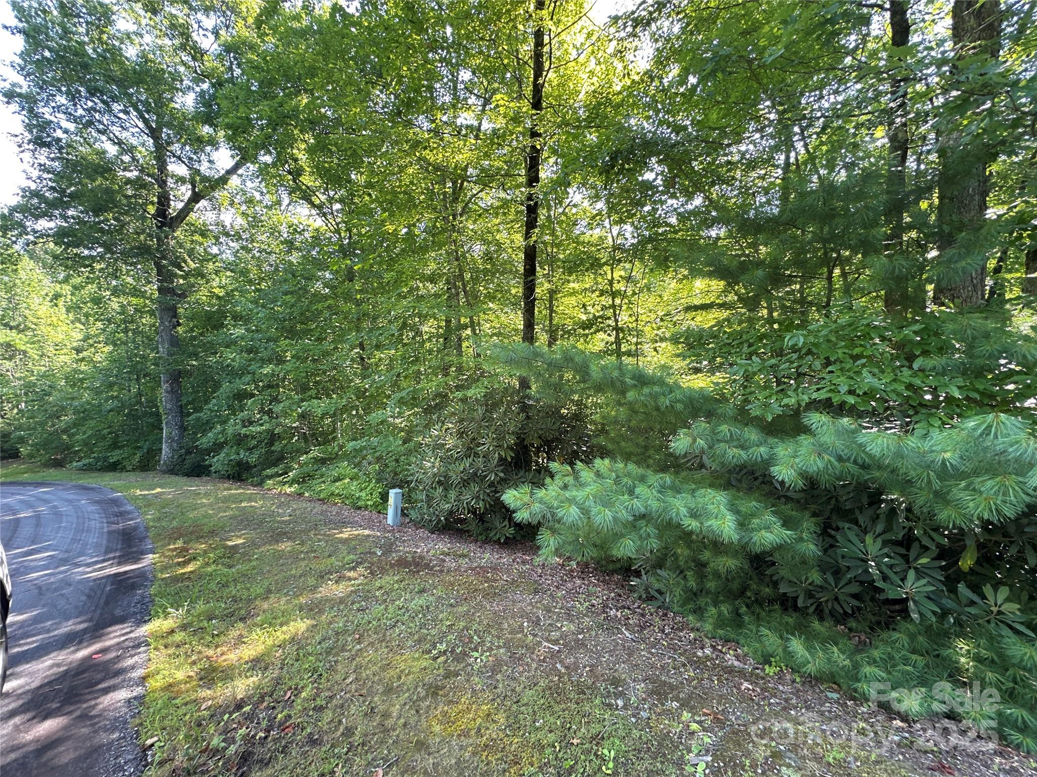 67 Peppervine Circle Rosman NC 28772