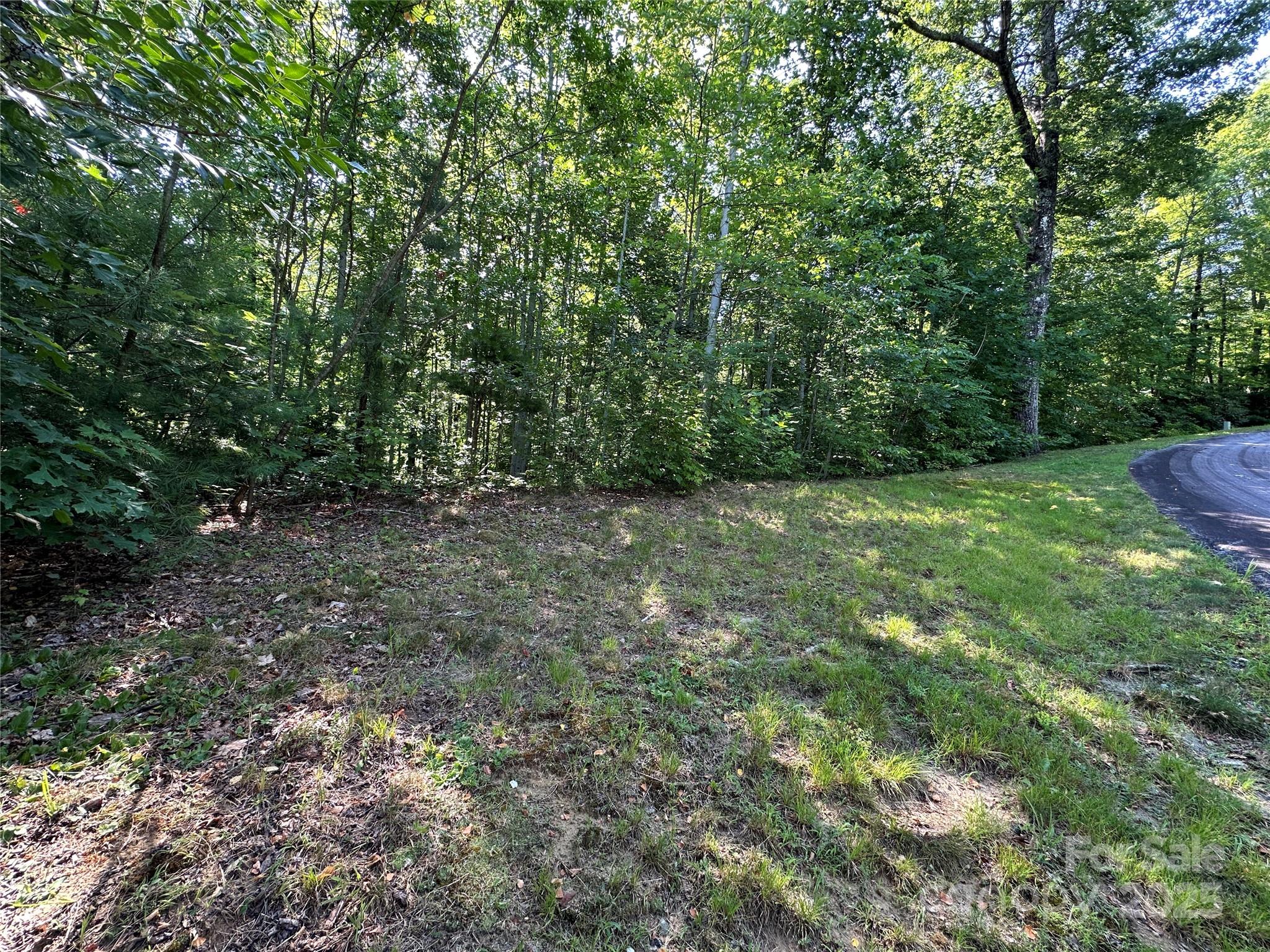 67 Peppervine Circle Rosman NC 28772