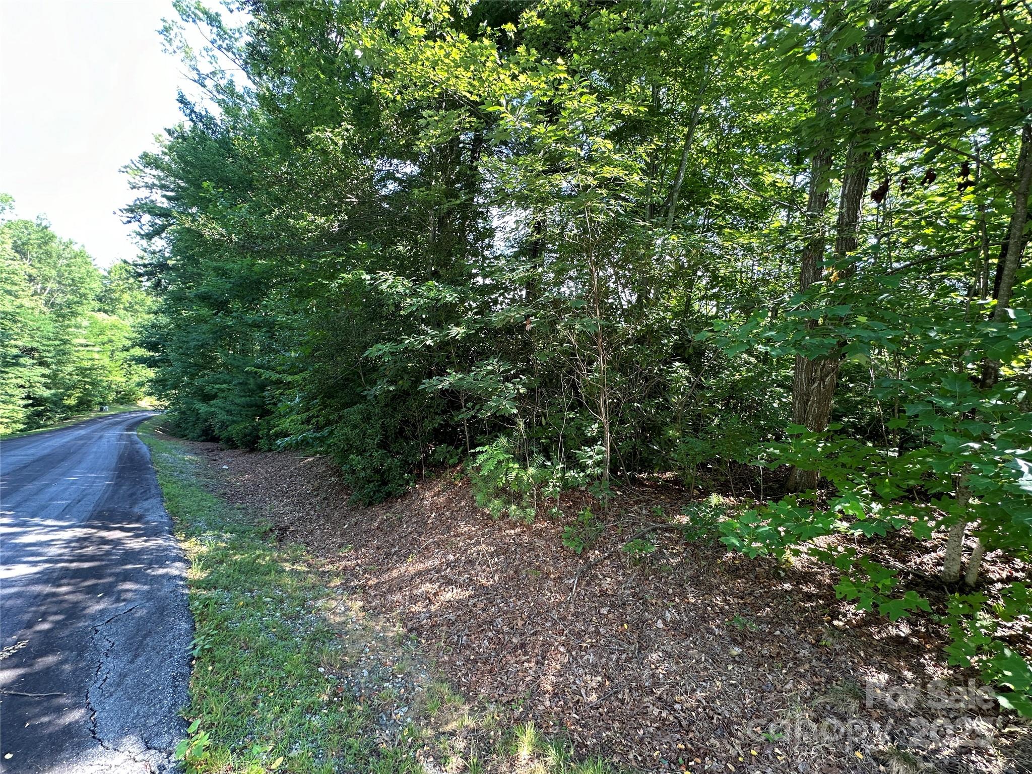67 Peppervine Circle Rosman NC 28772