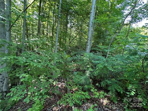 67 Peppervine Circle Rosman NC 28772