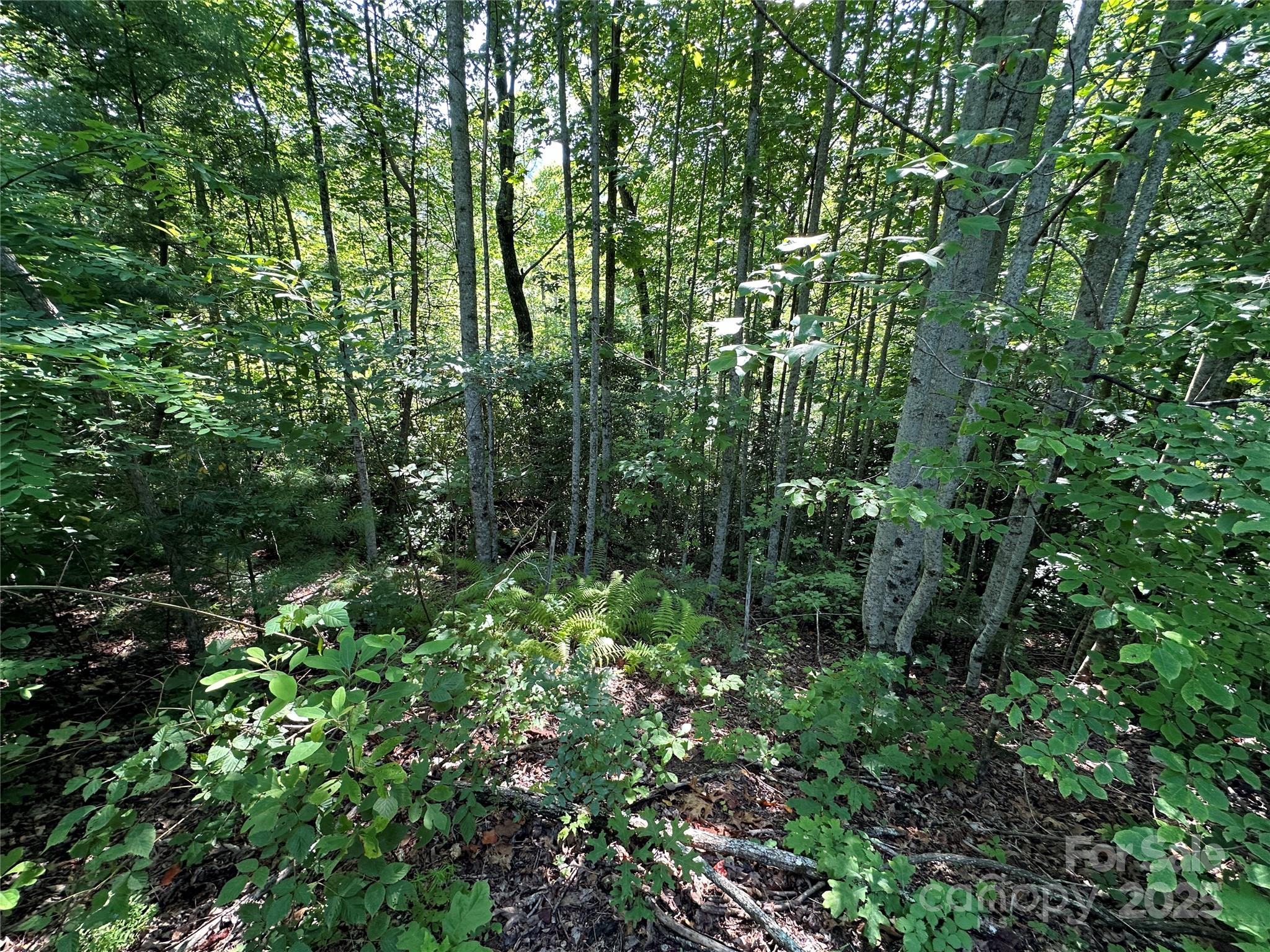 67 Peppervine Circle Rosman NC 28772