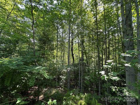 67 Peppervine Circle Rosman NC 28772