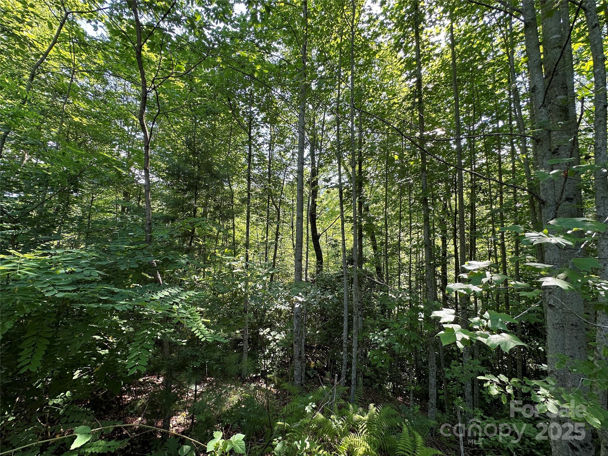 67 Peppervine Circle Rosman NC 28772