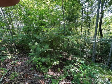 67 Peppervine Circle Rosman NC 28772