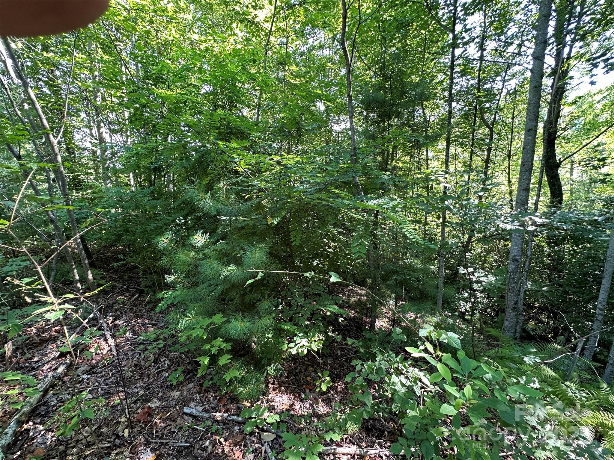 67 Peppervine Circle Rosman NC 28772