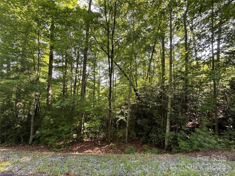 67 Peppervine Circle Rosman NC 28772