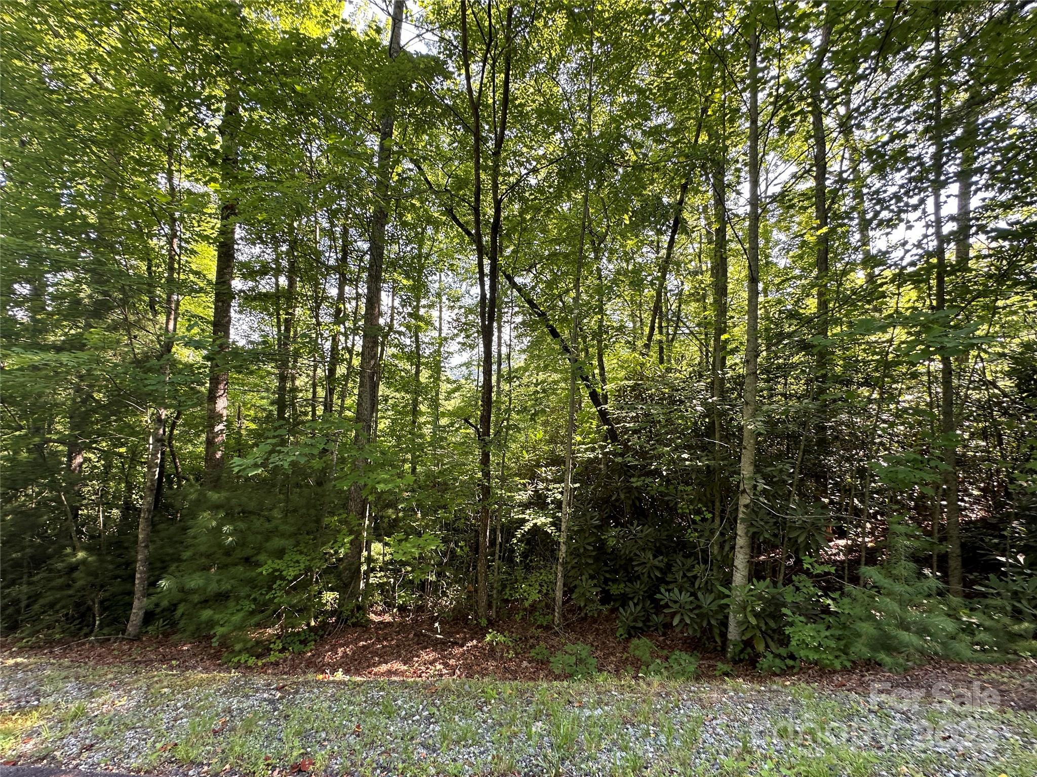 67 Peppervine Circle Rosman NC 28772