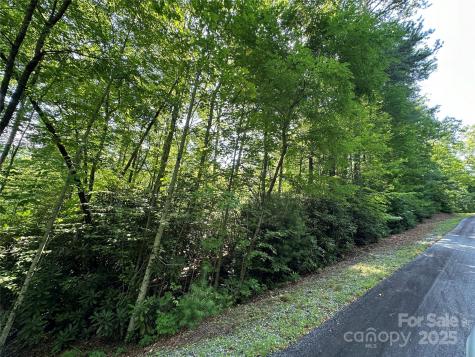 67 Peppervine Circle Rosman NC 28772