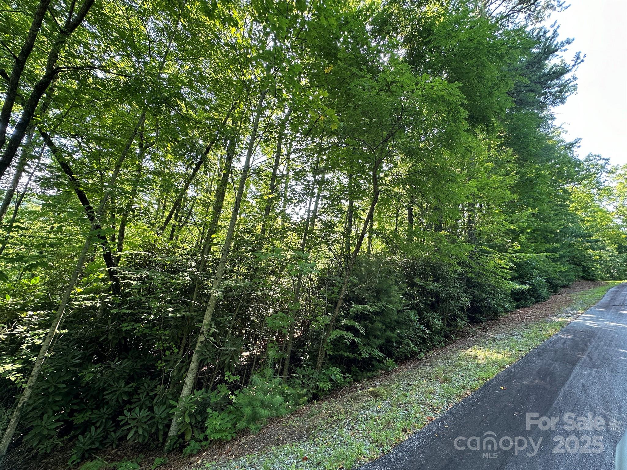 67 Peppervine Circle Rosman NC 28772