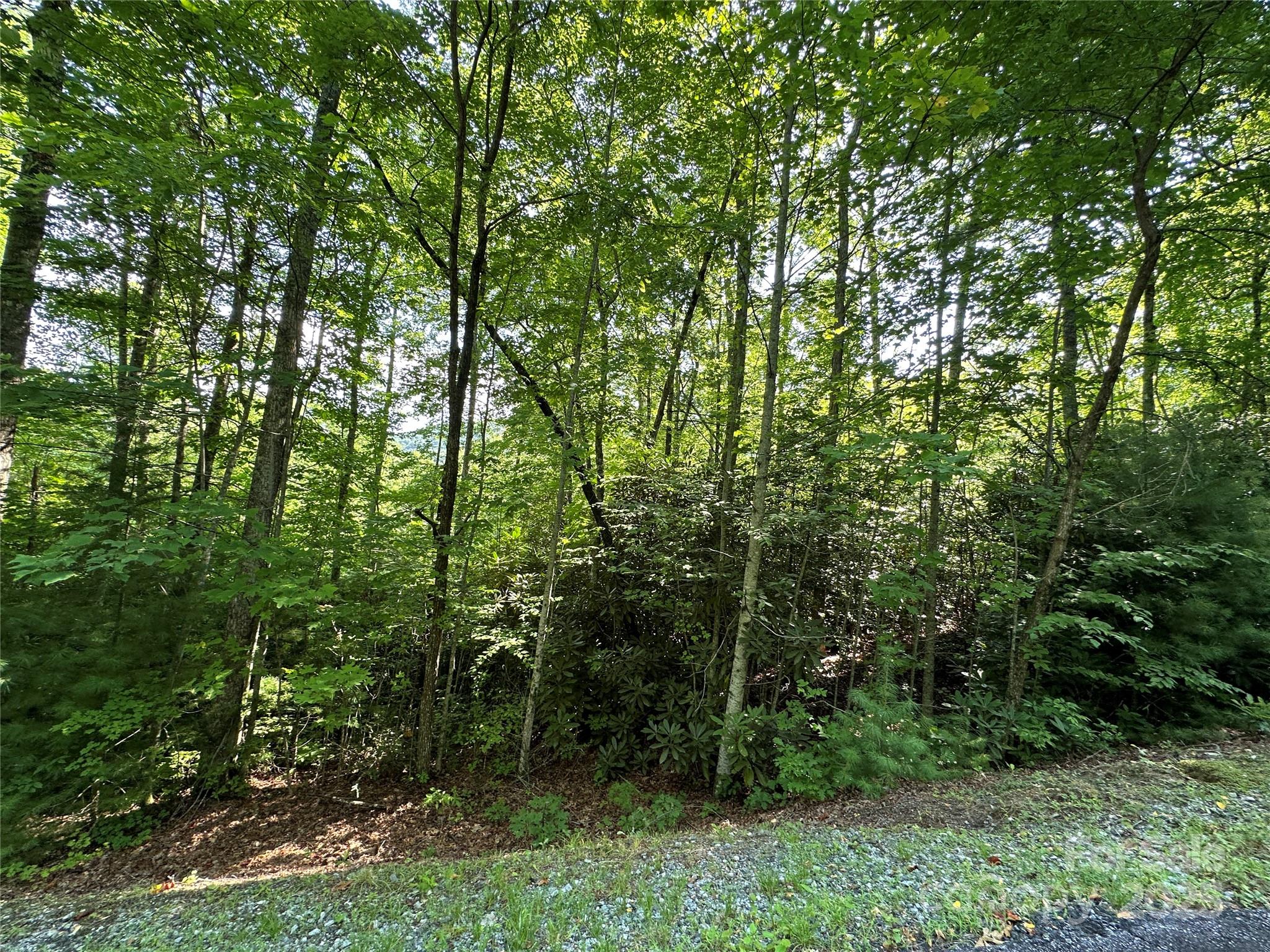 67 Peppervine Circle Rosman NC 28772